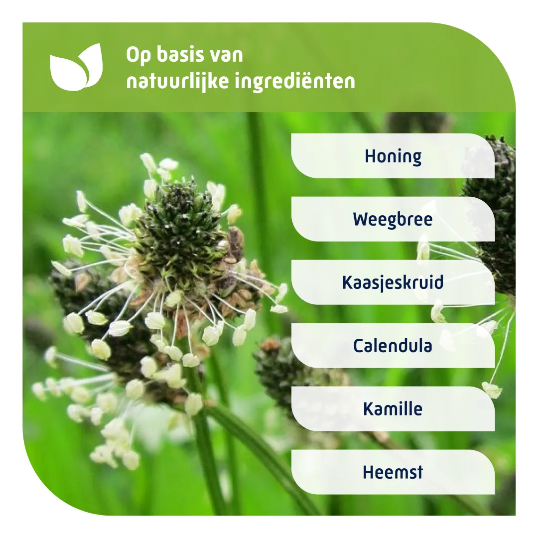 Natterman Nacht voor alle hoest volwassen (150 ml) - image 3