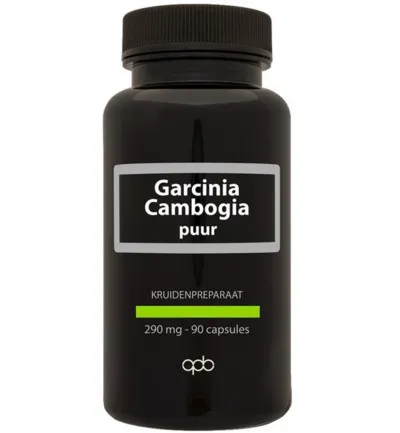 Apb Holland Garcinia Cambogia 290Mg Puur (90 vega capsules)