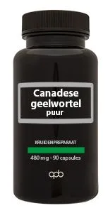 Apb Holland Canadese Geelwortel 480Mg Puur (90 capsules)