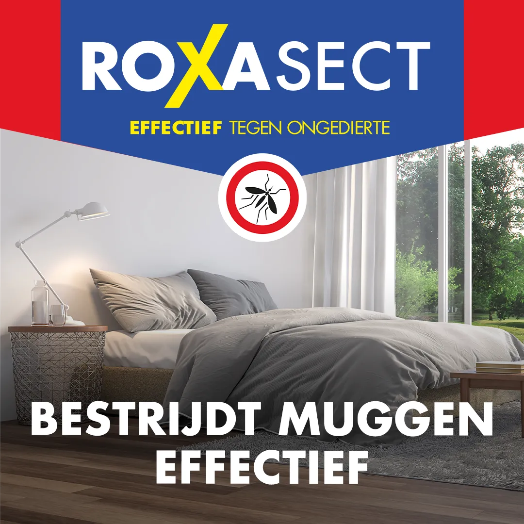 Roxasect Anti mug stekker actieverpakking 2 navulverpakking (1 stuk)