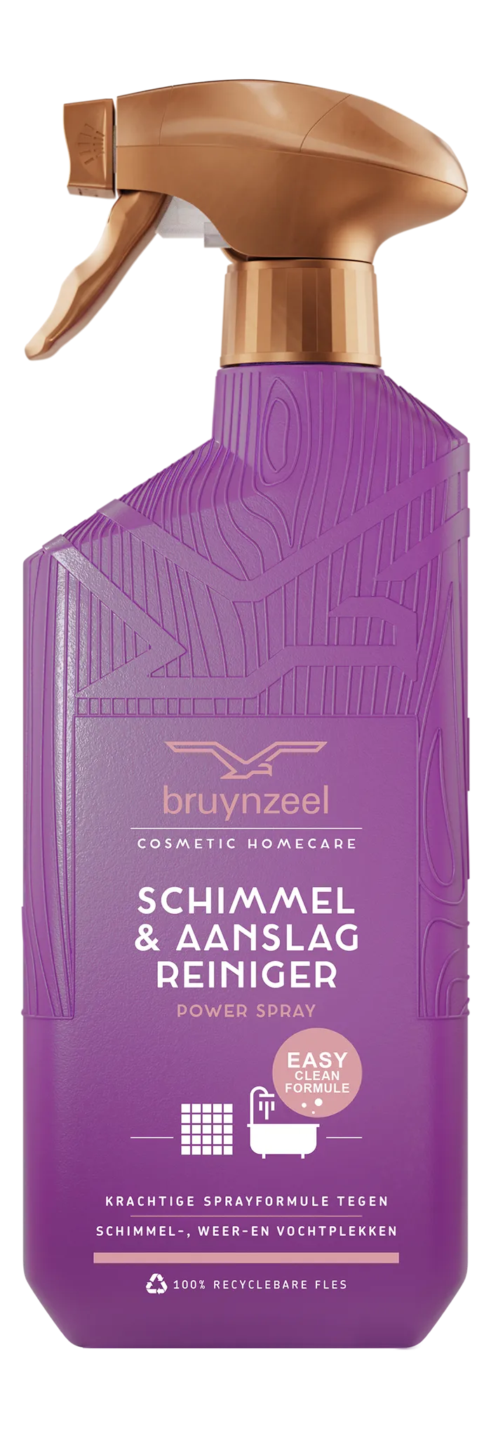 Bruynzeel Schimmel & Aanslagreiniger Powerspray (500 ml)