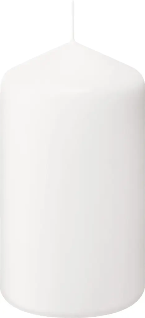 Bolsius Horeca Stompkaarsen 15/8 Wit (6 stuks)