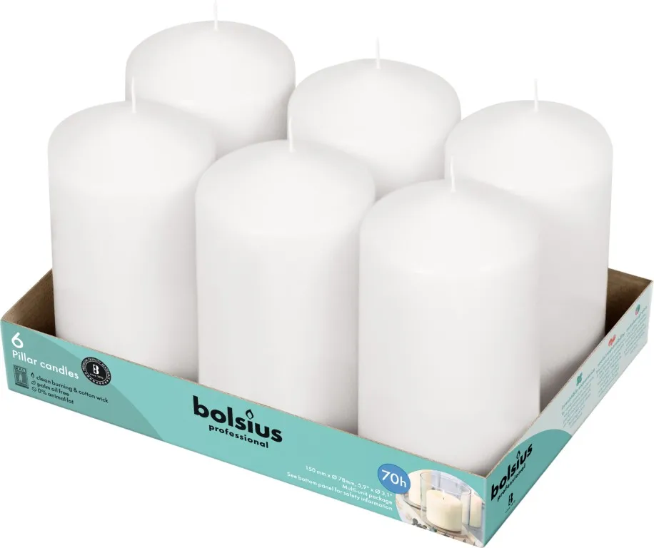 Bolsius Horeca Stompkaarsen 15/8 Wit (6 stuks)