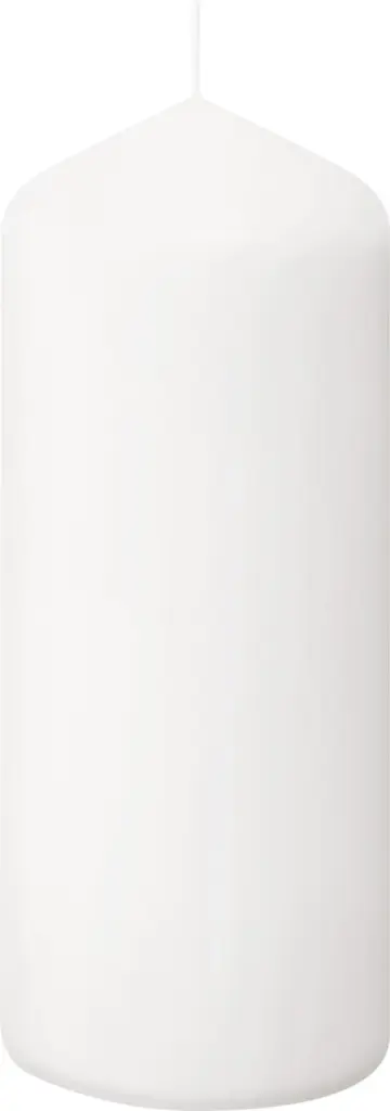 Bolsius Horeca Stompkaarsen 17/7 Wit (12 stuks)