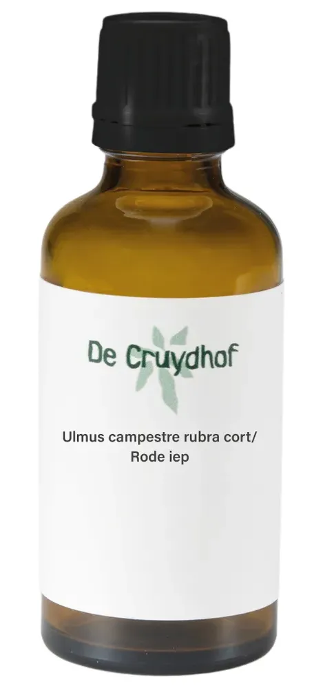 Cruydhof Ulmus Campestre Rubra Cort/rode Iep Druppels (50 ml)