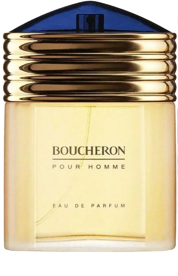 Boucheron Pour Homme Eau De Parfum (100 ml)