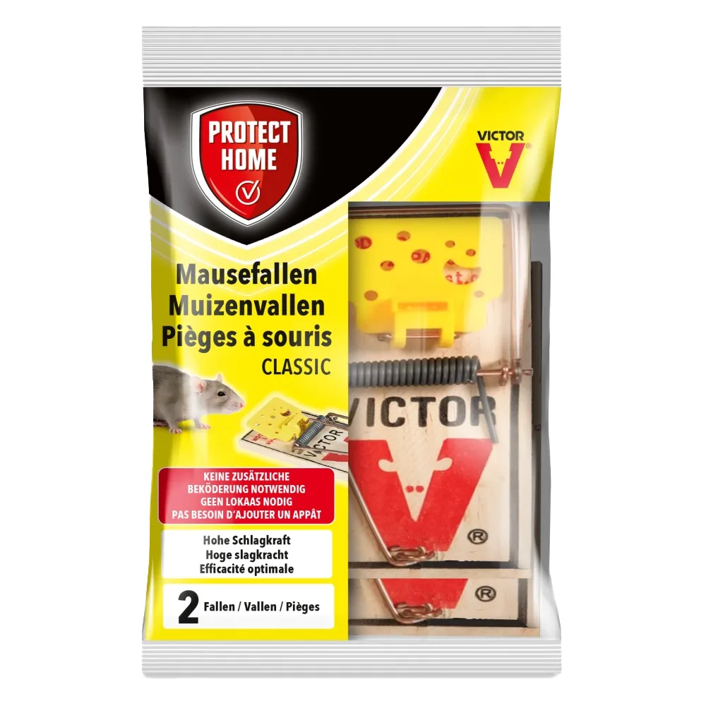 Protect Home Muizenvallen (2 stuks)