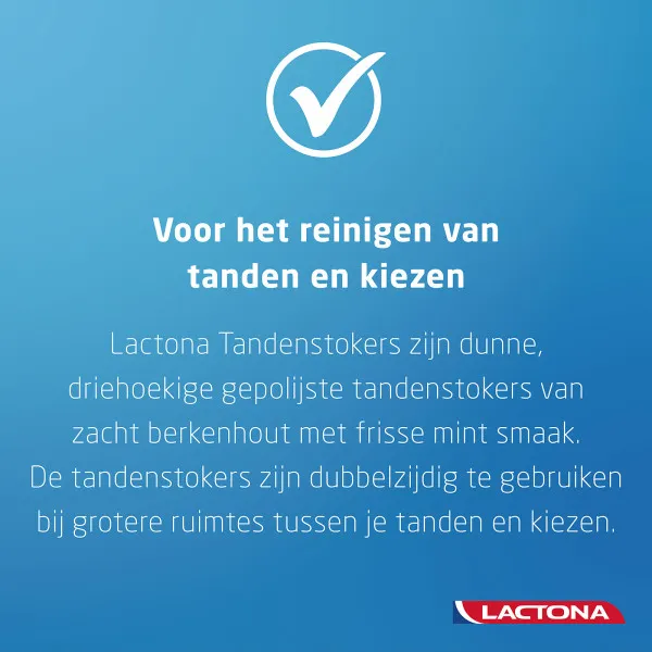 Lactona Intersticks Tandenstokers (100 stuks)