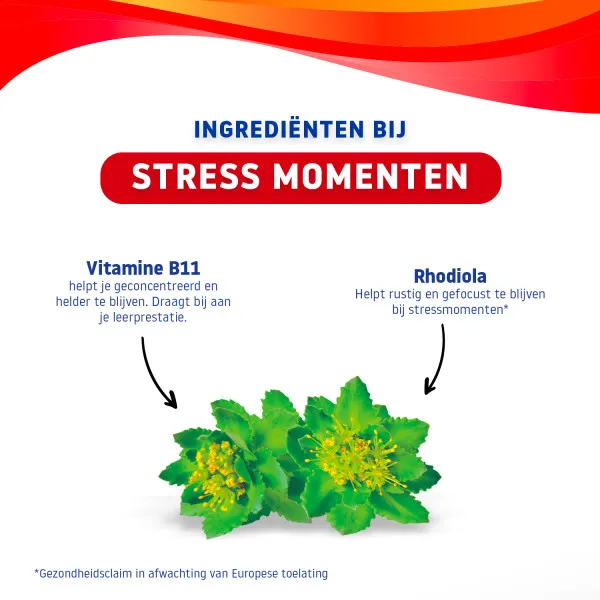 Valdispert Stress Gummy (30 gummies) - image 3