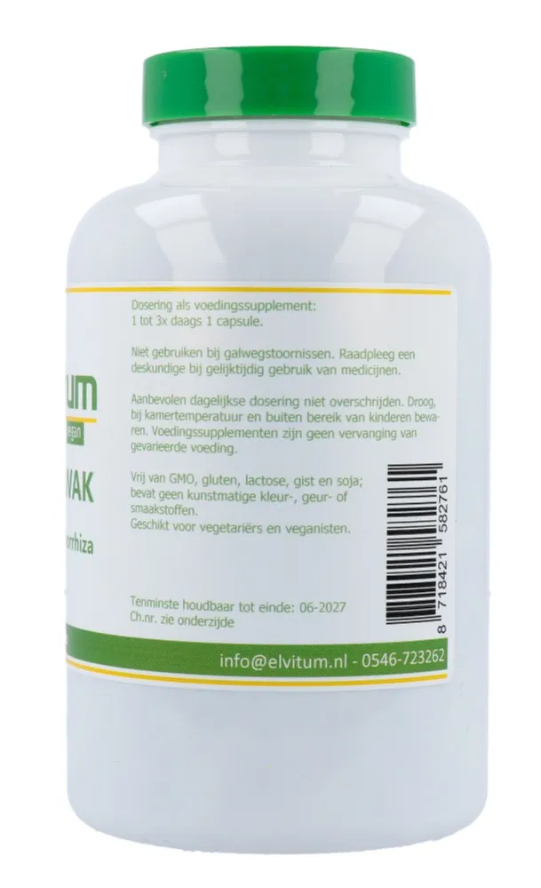 Elvitum Temulawak (200 capsules)