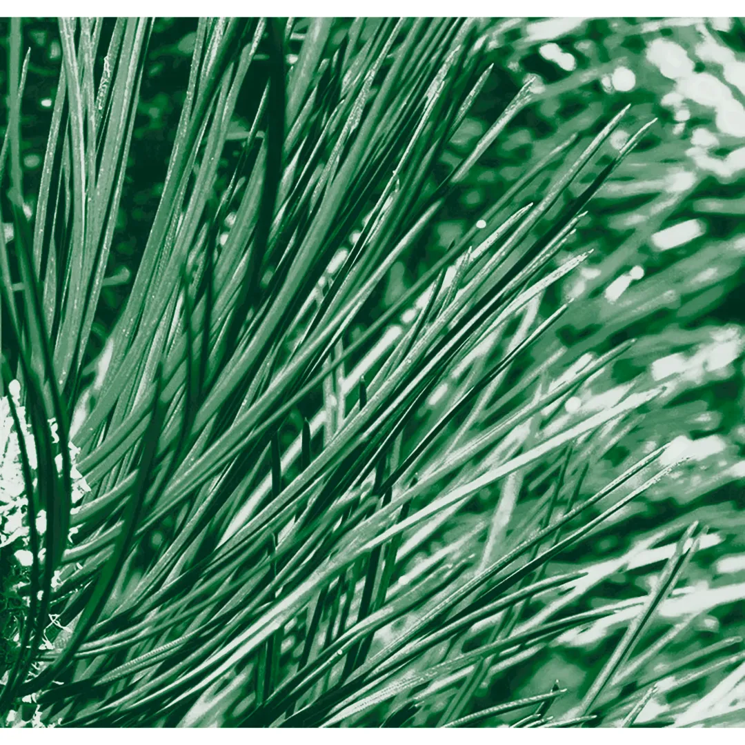 Kneipp Douche 2-in-1 nature (200 ml) - image 2