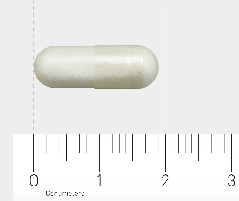 Orthica Nicotinamide 500 (60 vega capsules) - image 3