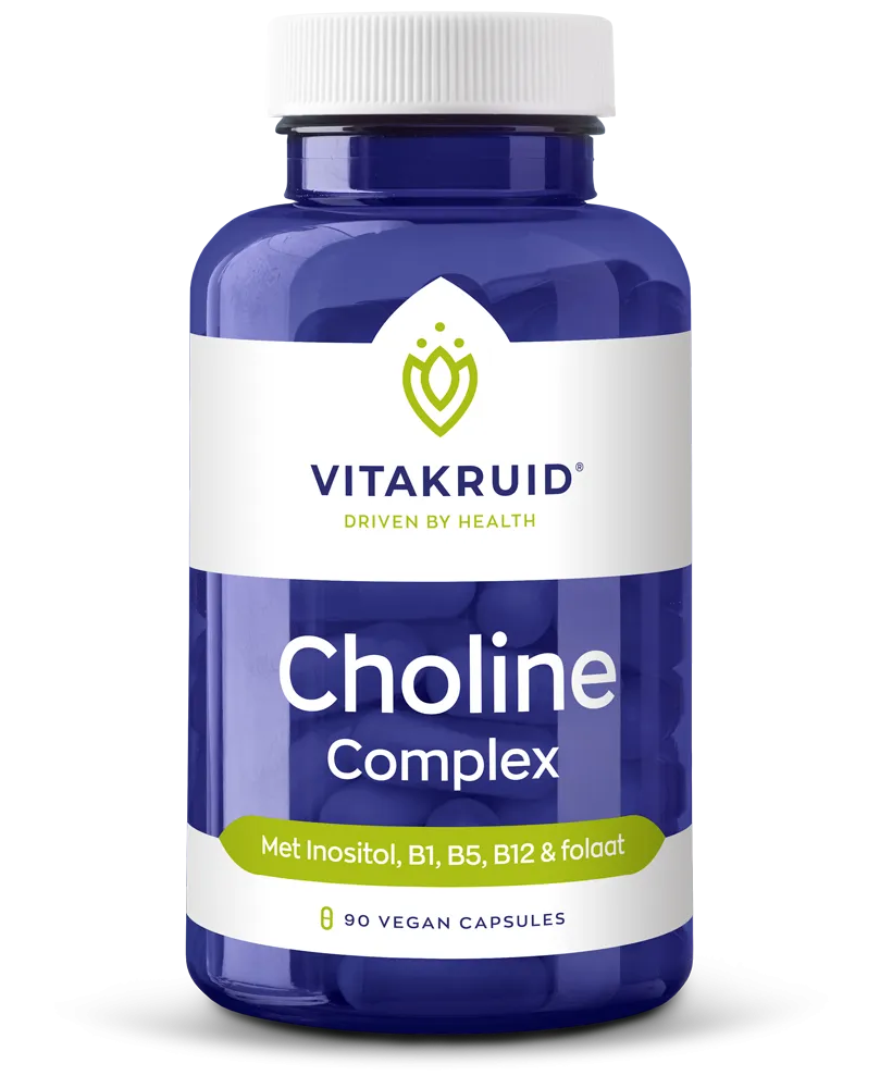 Vitakruid Choline Complex met Inositol, B1, B5, B12 & Folaat (90 vega capsules)