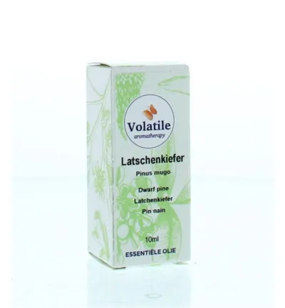 Volatile Latchenkiefer (10 ml)