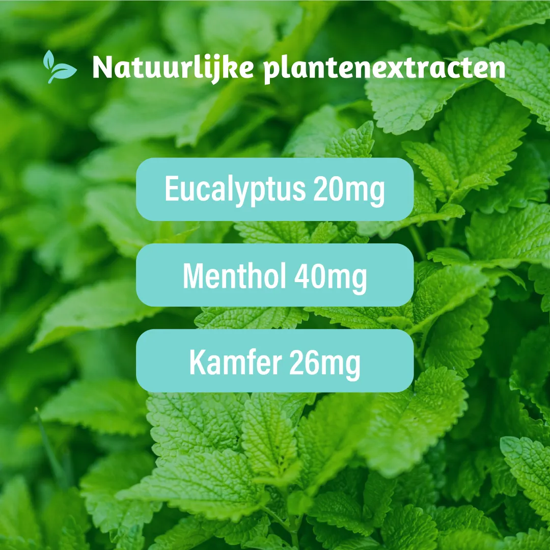 Dampo Verkoudheidsbalsem (30 gr) - image 4