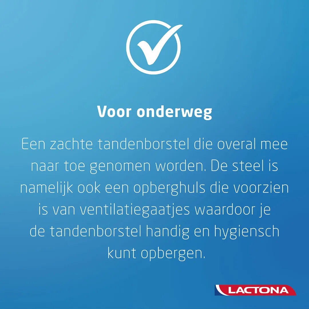 Lactona Reisborstel C139 nylon (1 stuk)