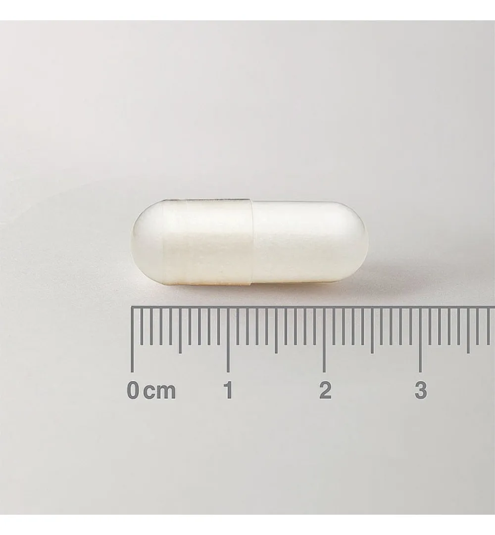 Lamberts L-Methionine 500mg (60 vega capsules) - image 2