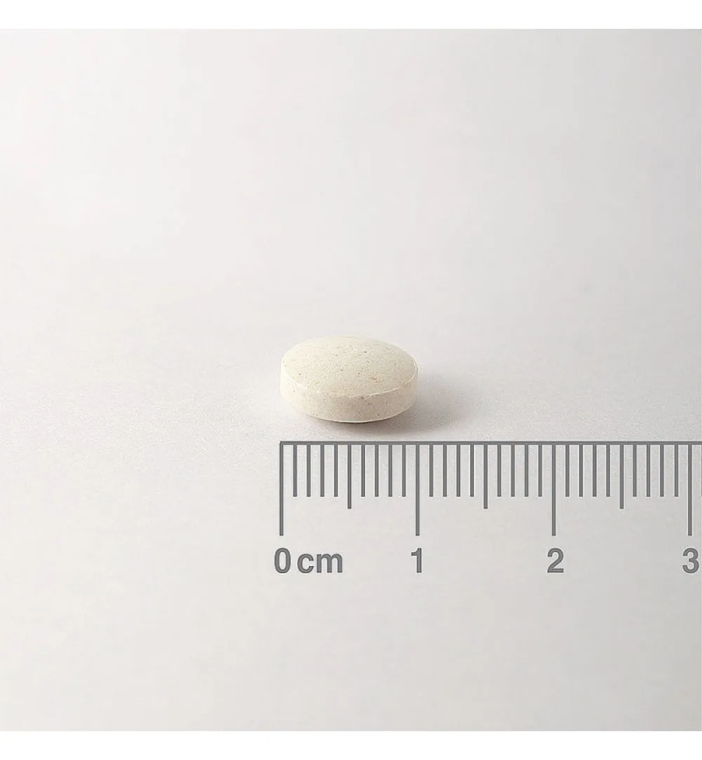 Lamberts IJzer citraat 14mg (100 tabletten) - image 2