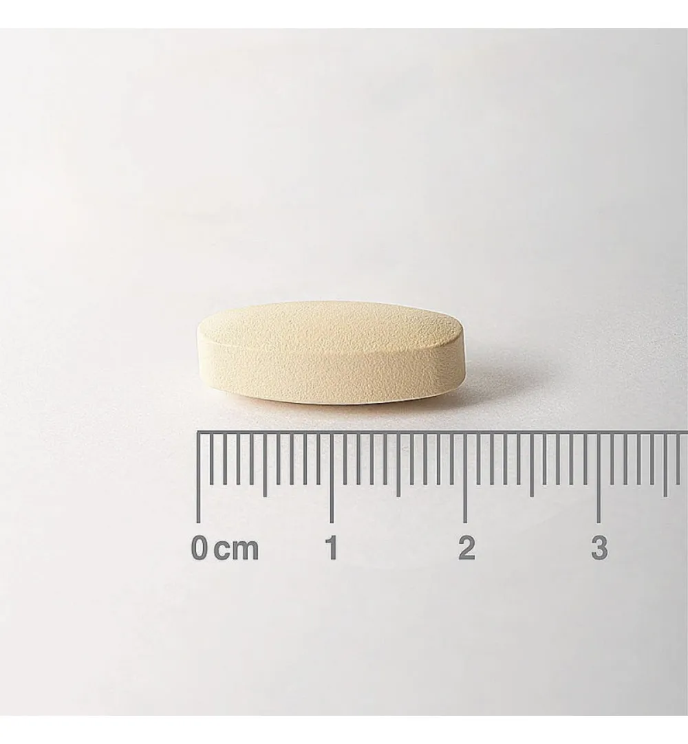 Lamberts Vitamine C 500mg rutine & bioflavonoiden (90 tabletten) - image 2