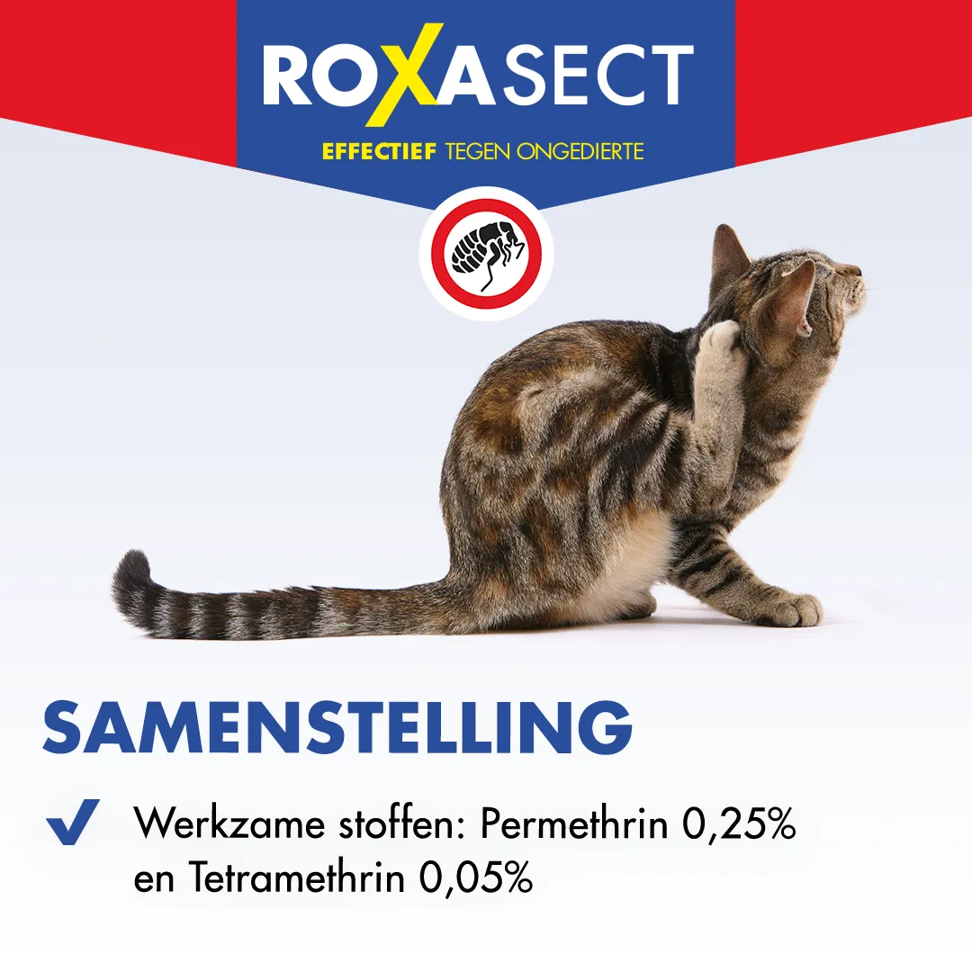 Roxasect Spuitbus tegen vlooien (300 ml) - image 4