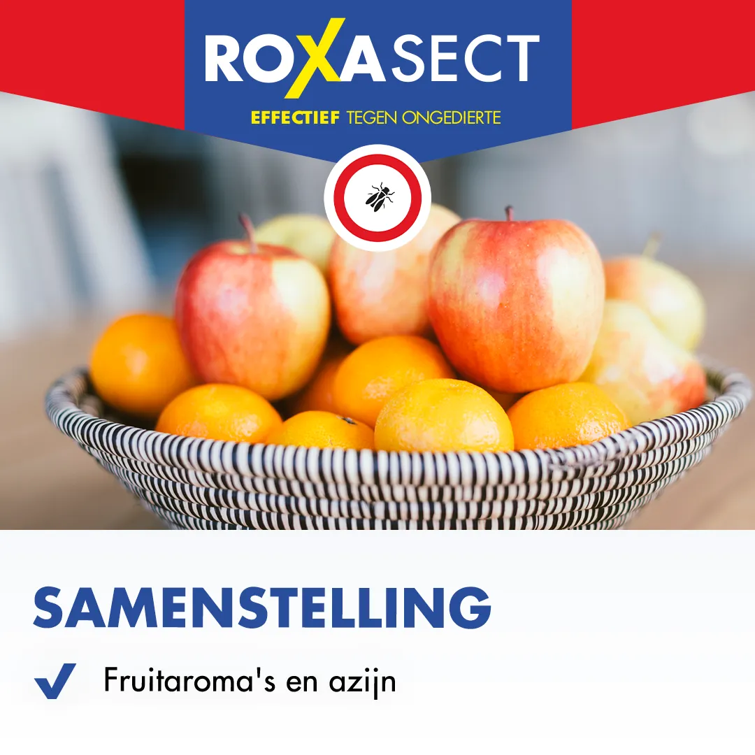 Roxasect Fruitvliegjes (1 stuk) - image 4