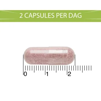 Blaseberry Cranberry, D-mannose & Hibiscus (50 capsules) - image 4