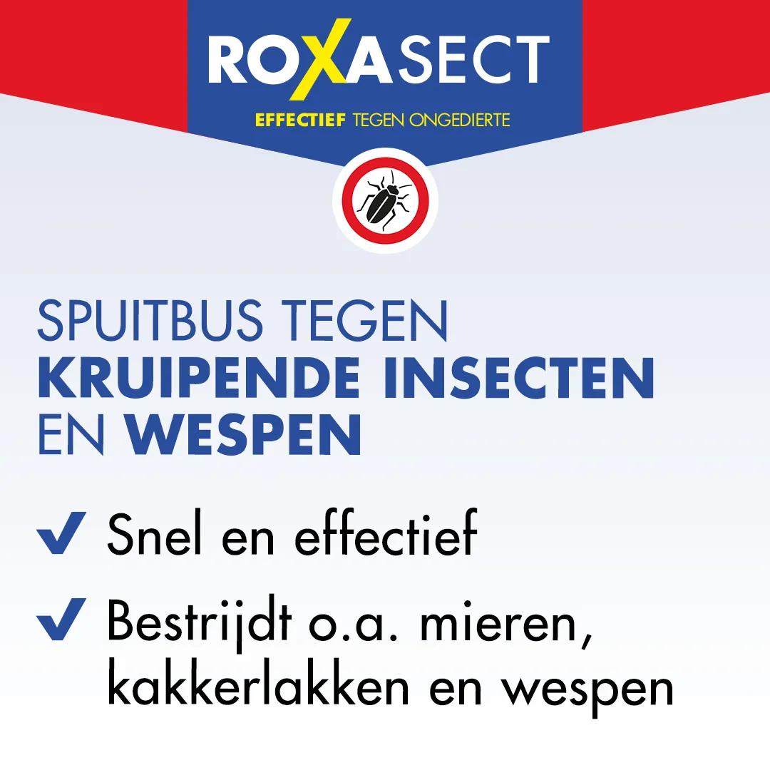 Roxasect Spuitbus tegen kruipende insecten/wespen (400 ml) - image 2