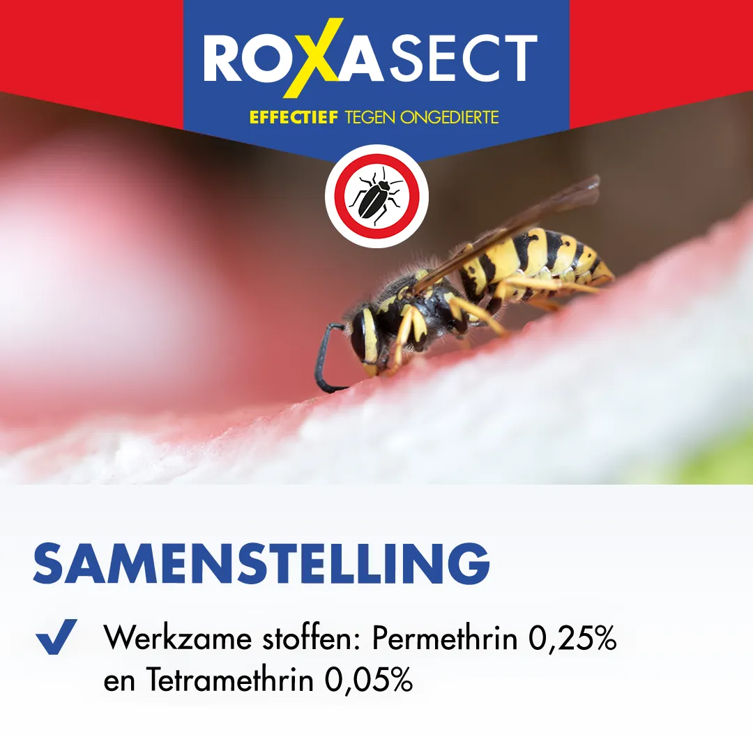 Roxasect Spuitbus tegen kruipende insecten/wespen (400 ml) - image 4