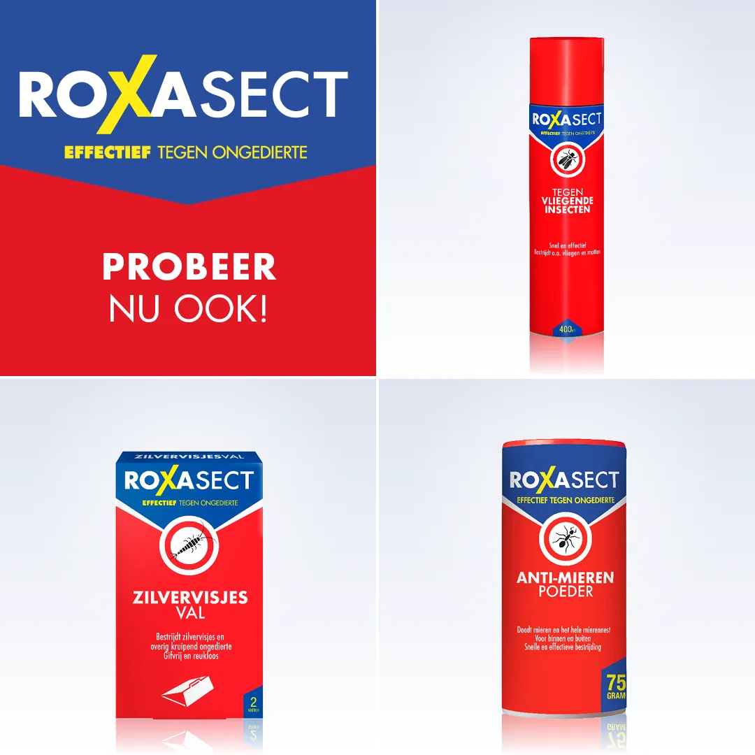 Roxasect Spuitbus tegen kruipende insecten/wespen (400 ml) - image 5