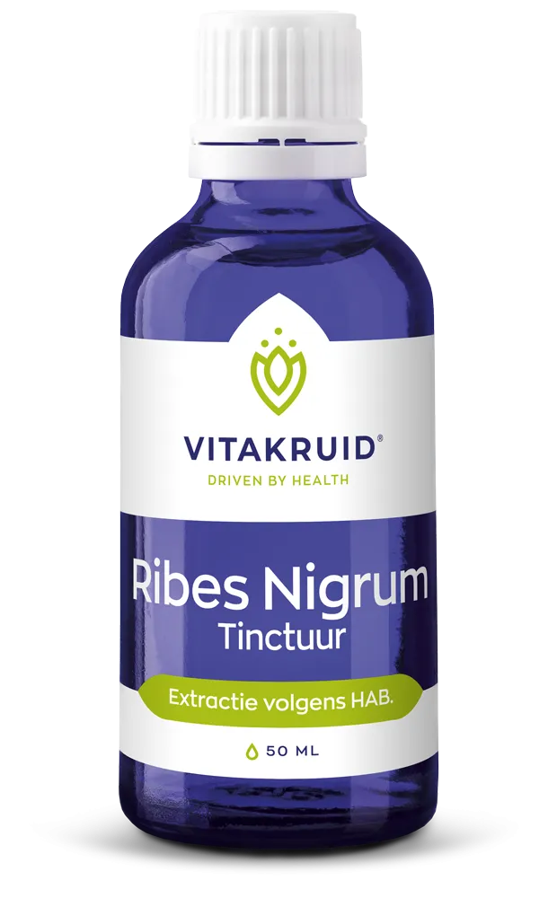 Vitakruid Ribes Nigrum Zwarte Bes Tinctuur 1:10 (50 ml)