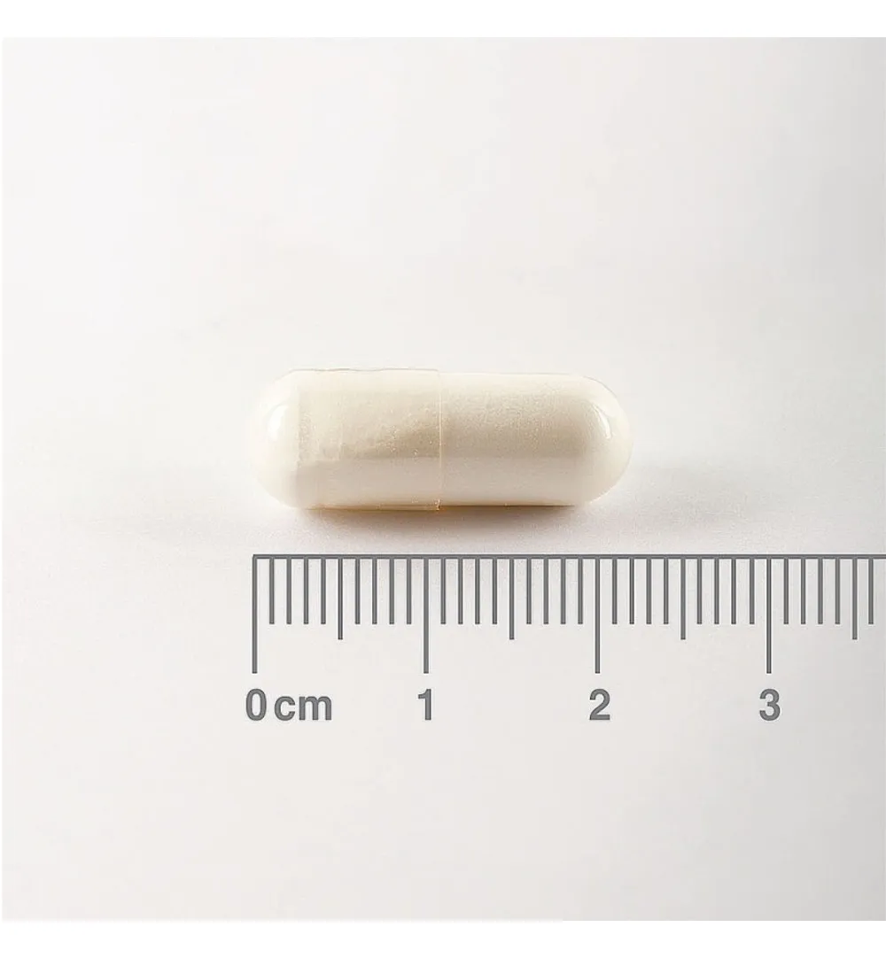 Lamberts L-Glutamine 500mg (90 vega capsules) - image 2