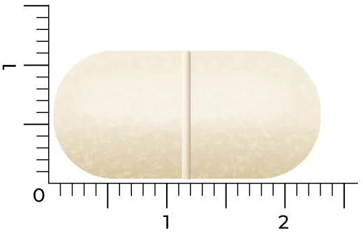 Vitakruid Relaxcomplex Oa Magnesium Tauraat & Vitamine D3 (90 tabletten) - image 4