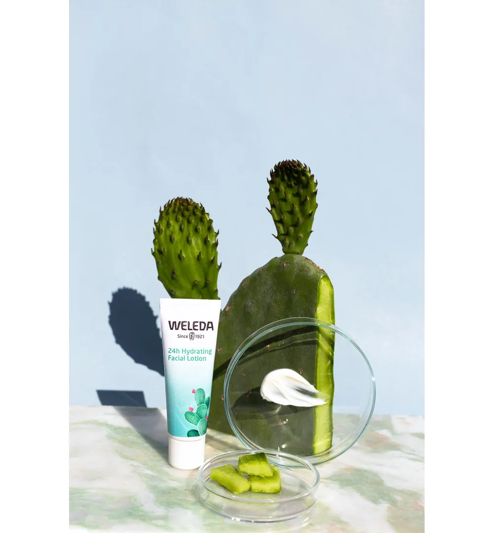 WELEDA Vijgencactus 24h hydraterende gezichtscreme light (30 ml) - image 2