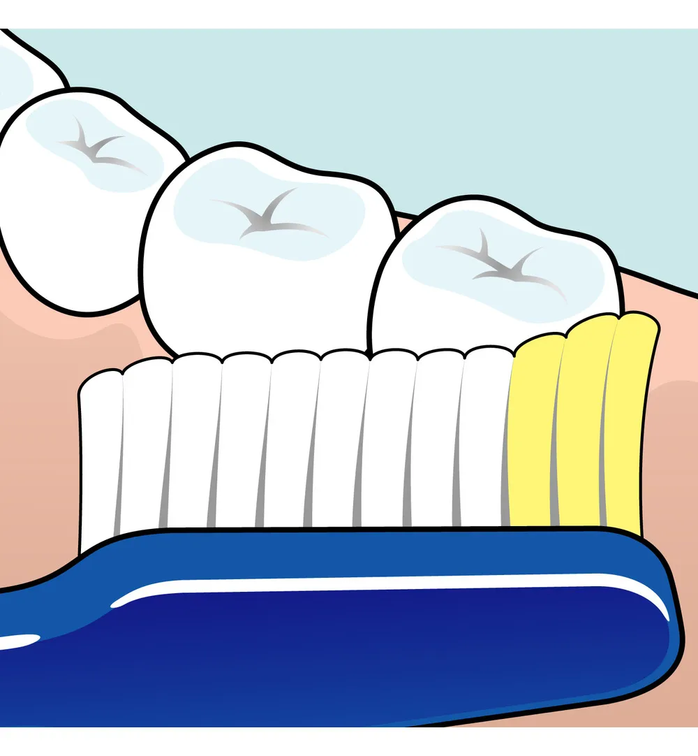 TePe Tandenborstel nova medium (1 stuk) - image 2