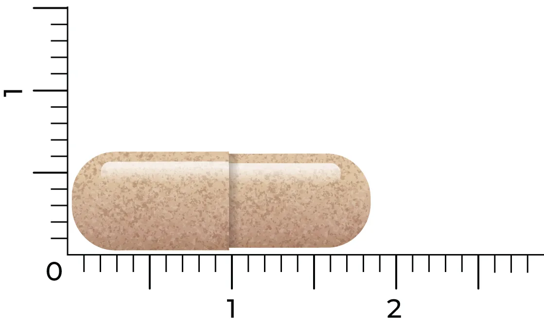 Vitakruid Lactoferrine 150 mg Minimaal 95% Puur + Vitamine C (60 vega capsules) - image 4