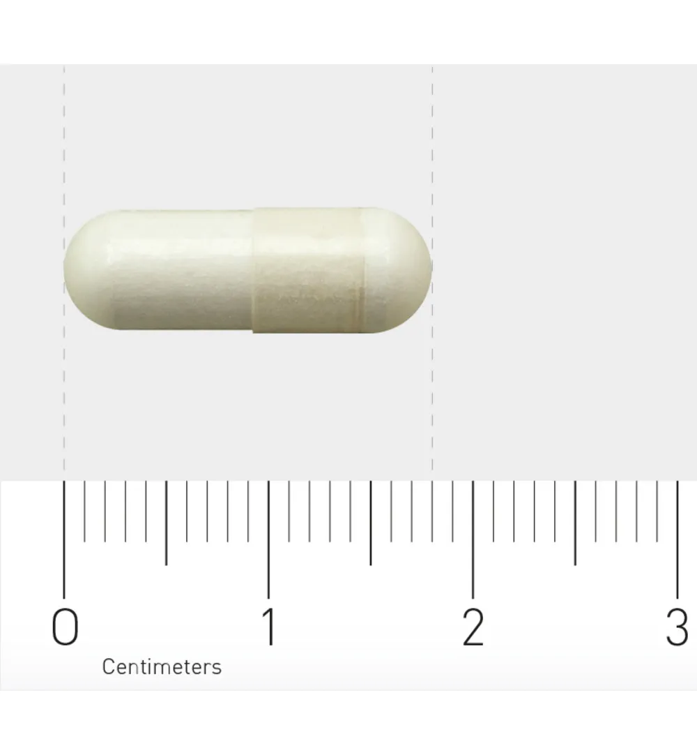 Orthica Brain Support (60 capsules) - image 3