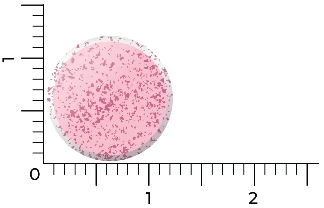 Vitakruid B12 Combi 6.000® met Actief Folaat Vitamine (60 smelttabletten) - image 3