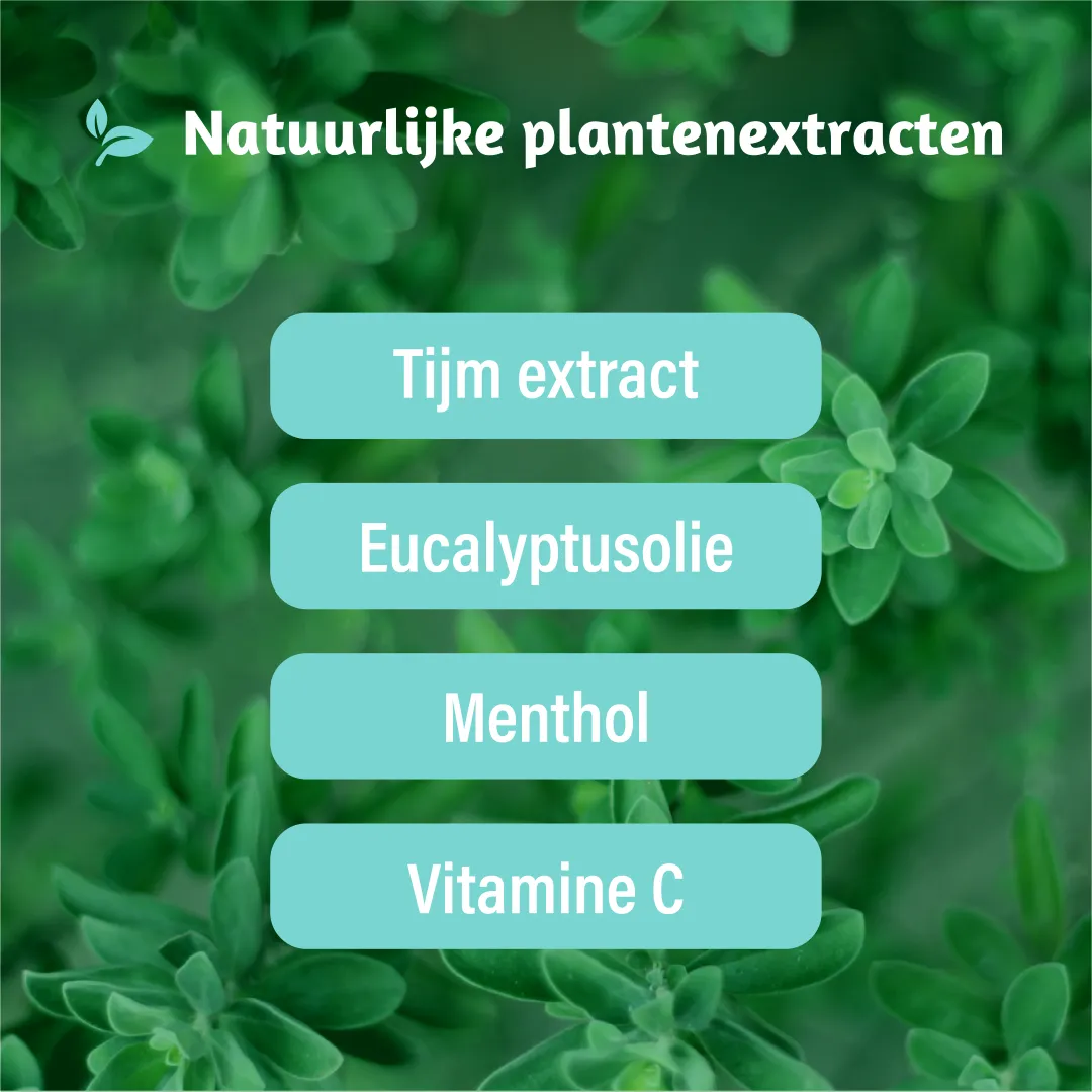 Dampo Luchtwegen Pastilles (24 stuks) - image 3