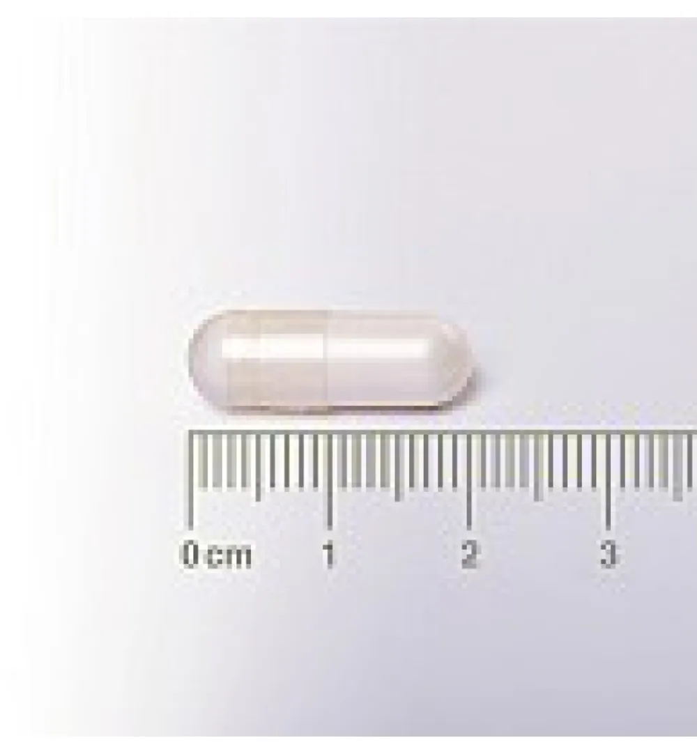 Lamberts Neuro-Logical (60 capsules)