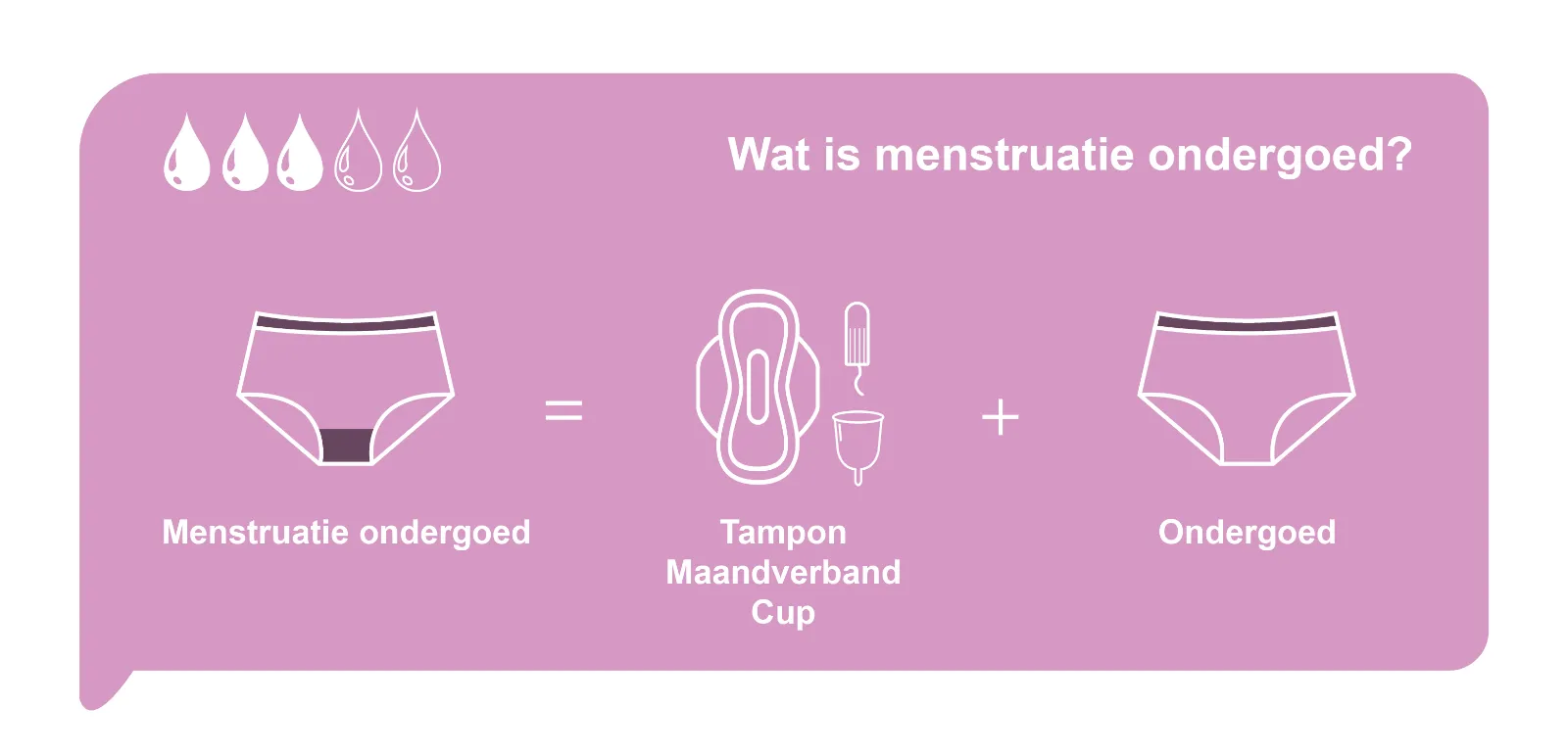 Solite Menstruatieondergoed Bikini Maat L (1 stuk) - image 2