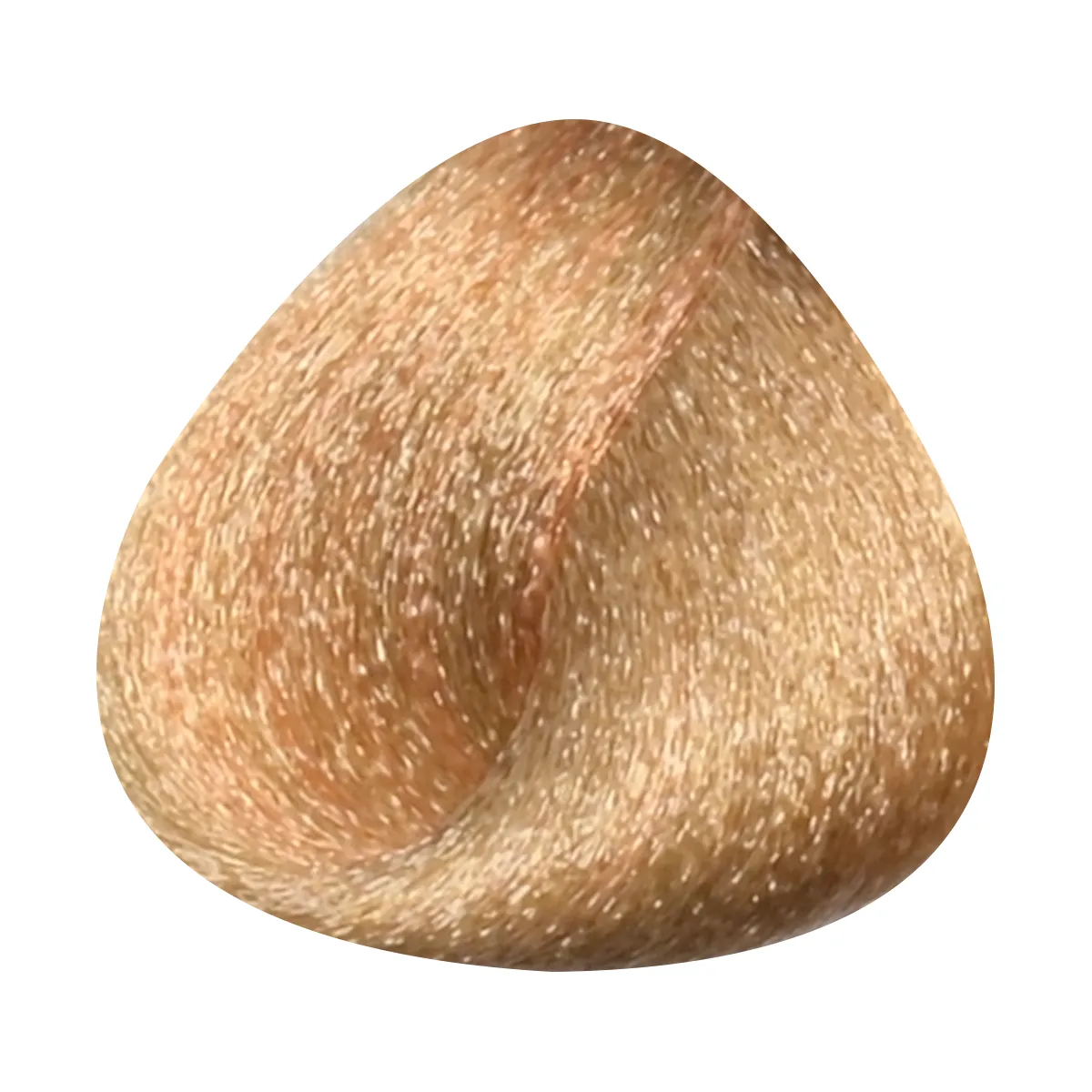 Toujours Trend Color 8.3 Light Golden Blonde (100 ml) - image 3