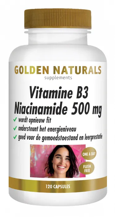 Golden Naturals Vitamine B3 Niacinamide 500 mg Capsules (120 vegetarische capsules)
