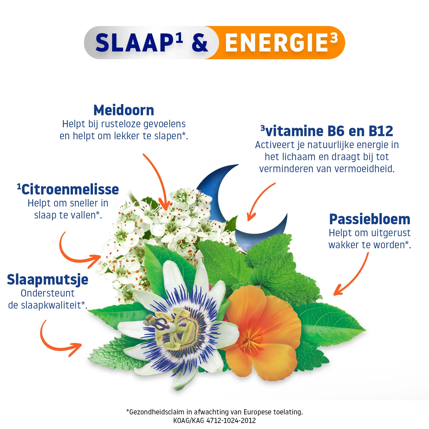 Valdispert Slaap & Fris Wakker (24 Tabletten) - image 3