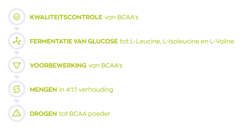 Vitakruid Sport BCAA 4:1:1 Tropical (540 gr) - image 5