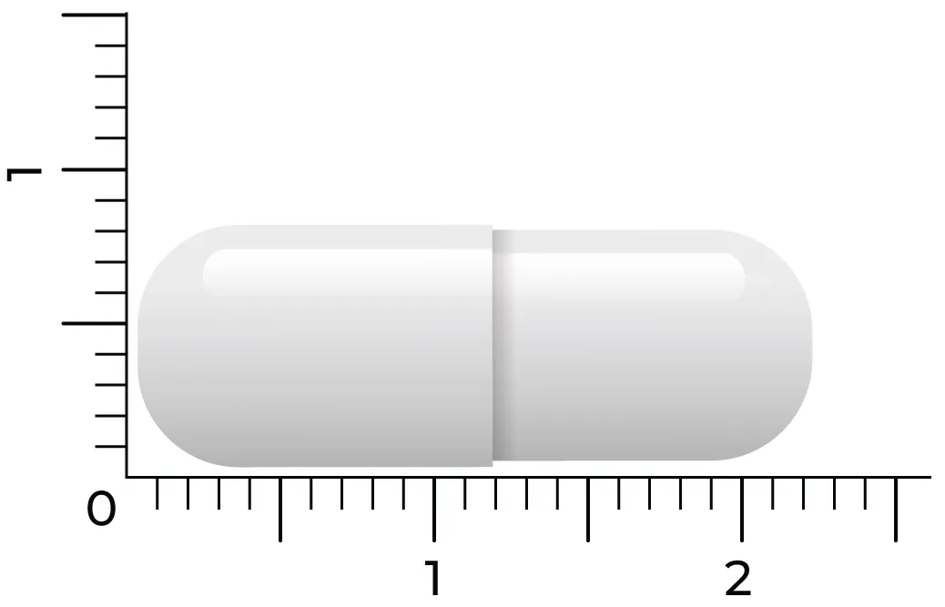 Vitakruid Acetyl-L-Carnitine 500 mg (90 vega capsules) - image 3