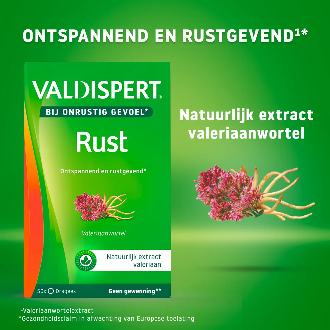 Valdispert Rust (50 dragees) - image 2