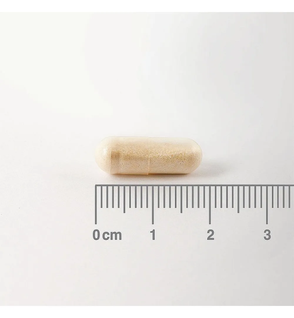 Lamberts Digestizyme Spijsverteringsenzymen (100 vega capsules) - image 2