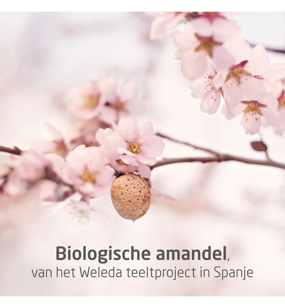 WELEDA Mama zwangerschapsolie (100 ml) - image 5