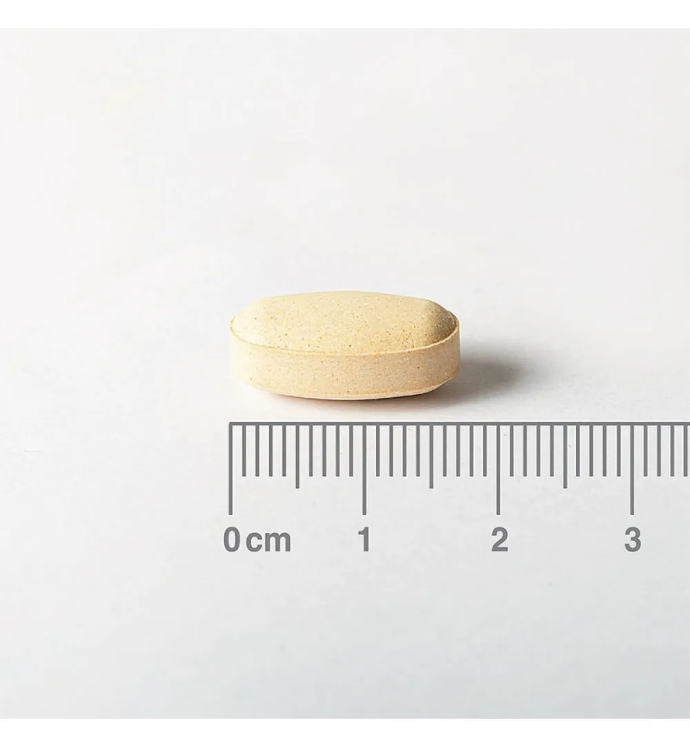 Lamberts Choline lever complex (60 tabletten) - image 2