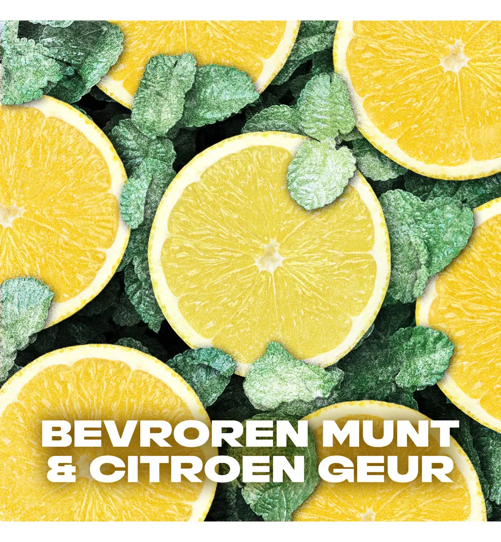 Axe Showergel ice chill (250 ml) - image 6